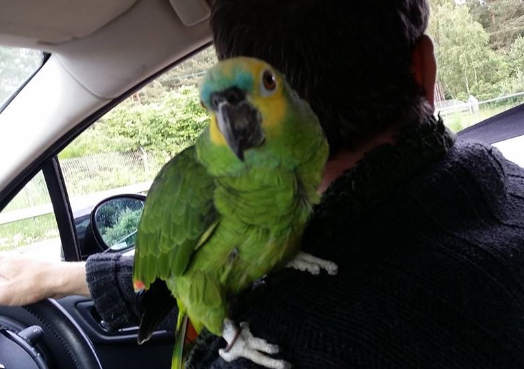 Yes, I'm watching you...